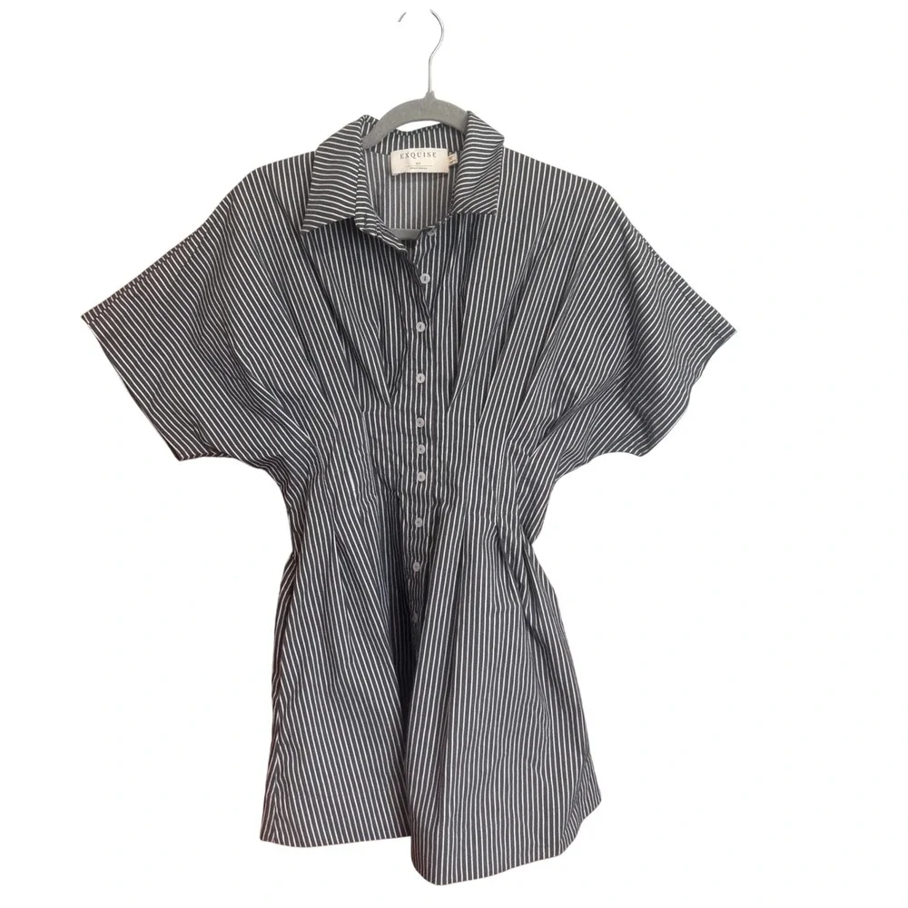 the tobie mini shirt dress by exquise Exquise + The Tobie Button-Front Pleated Shirt Dress: Mini Edition